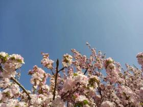 有一种伤痛刻苦铭心