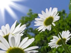 遇到这样的邻居,何尝不是检验修行的一种方式