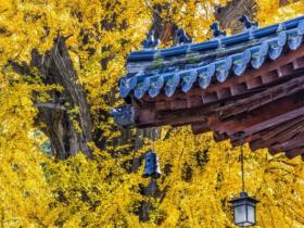 辨别清楚正与邪,是成就解脱的重要前提