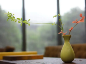 “煮熟的饭能变为生米吗?”禅师妙喻解纷争