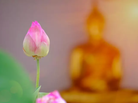 媳妇眼中的“恶婆婆”,一把辛酸泪有谁知