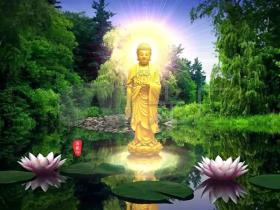 母亲啊,这是女儿给您的报答