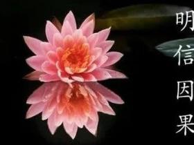 【感悟】初一十五上香上供一场空,虔心学佛得受用