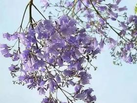 如此做佛事有用吗?