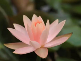 点滴都要在行持中