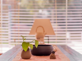 陪读“吼”妈学佛记