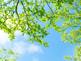 学佛后,如何应对“路怒症”