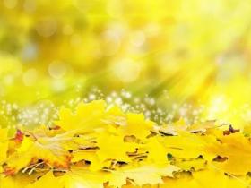 为善或为恶,看因果可曾饶过谁与亏过谁