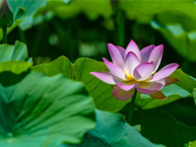 一个麻将女的蜕变