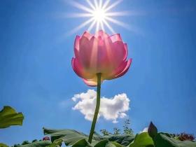 天上天下无如佛 :我拜见了佛