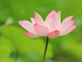 佛陀法相显圣变大,五彩毫光遍满坛城上空