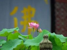 正知正见之行精进闻法心得分享