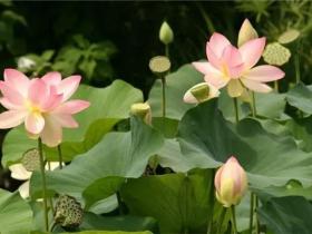 为什么说:“万般带不走,唯有业随身”