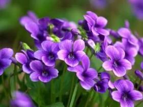 赞叹他人,即是长他人威风,灭自己士气吗?