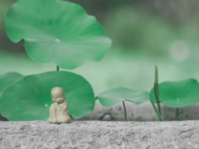 他费尽心思也找不到一个安静的地方学佛,何故?