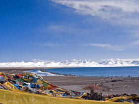 他把自己操作成“菩萨转世”,真是罪大恶极!