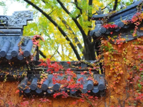 什么是“天龙八部”?