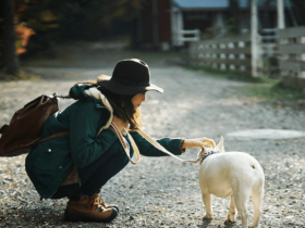 说说六道众生(五):人类是怎么一回事儿?