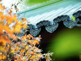 说说六道众生(六):人重新投胎会到哪里?