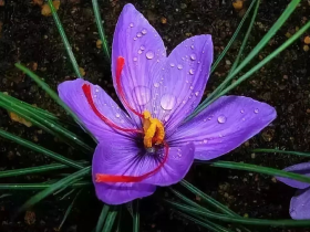 魔强法弱的时代,如何正确选择佛法?