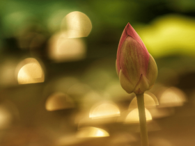 门口挂镜子能辟邪吗?求签问卦准不准?