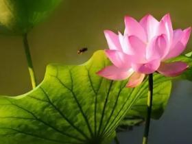 幸好我坚定地迈出了这一步