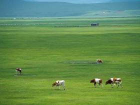 佛教为什么倡导放生