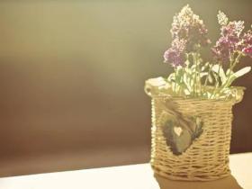 她能和蟑螂、蚊子对话?的确有这么一回事儿